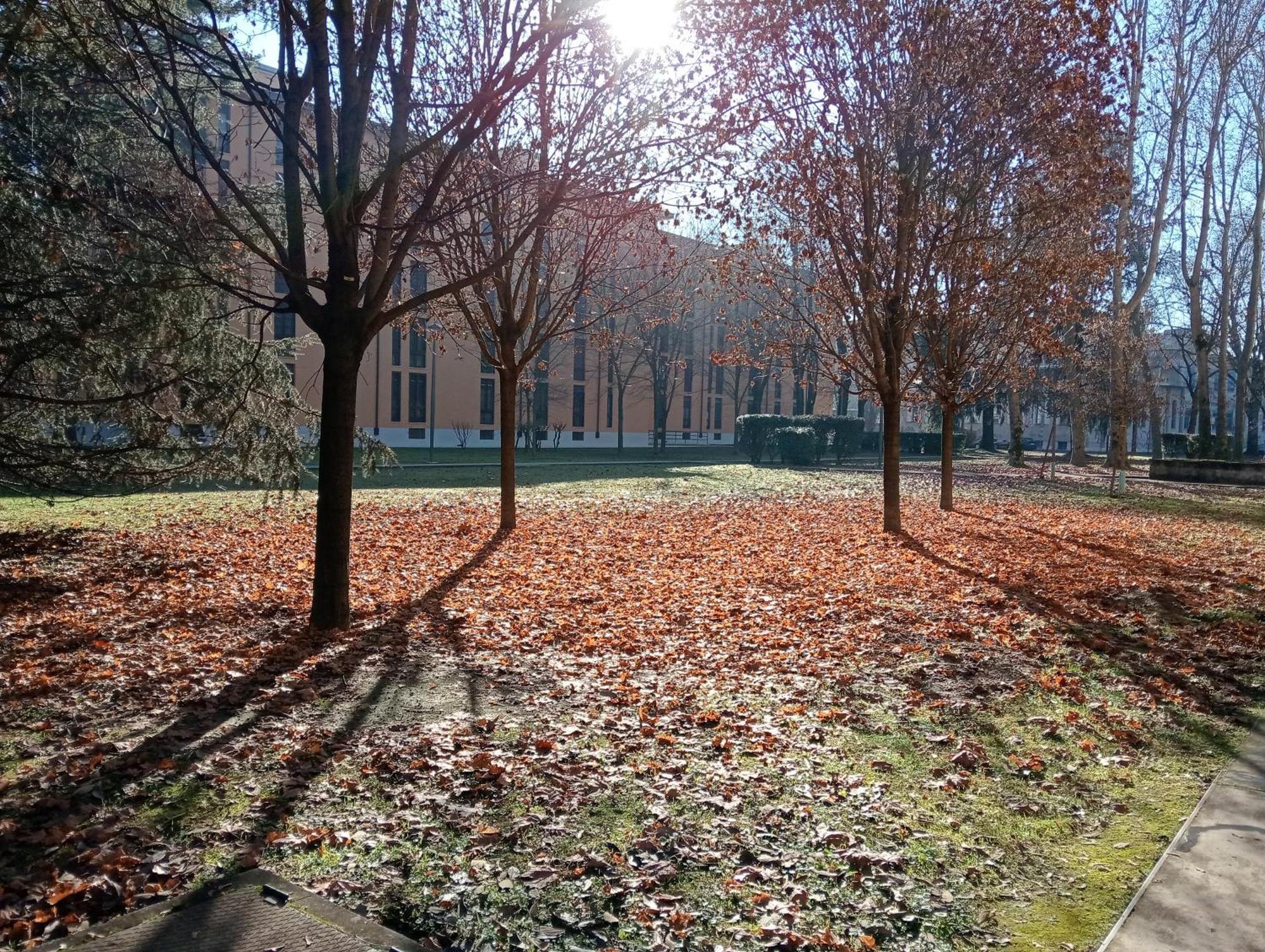 Sandonhouse Milano San Donato Milanese Exterior foto